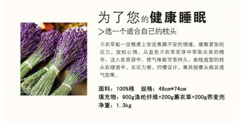 紫羅蘭:用“芯”來愛,呵護(hù)健康