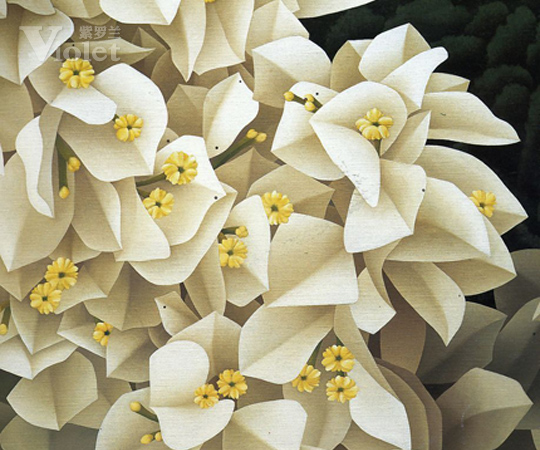 紫羅蘭品牌情感 花卉論