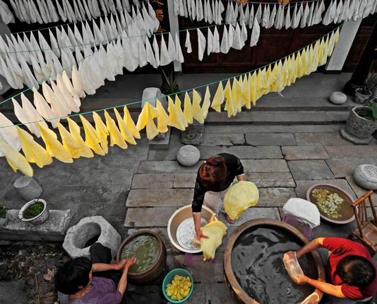 養蠶農家首次成功飼養天然彩蠶