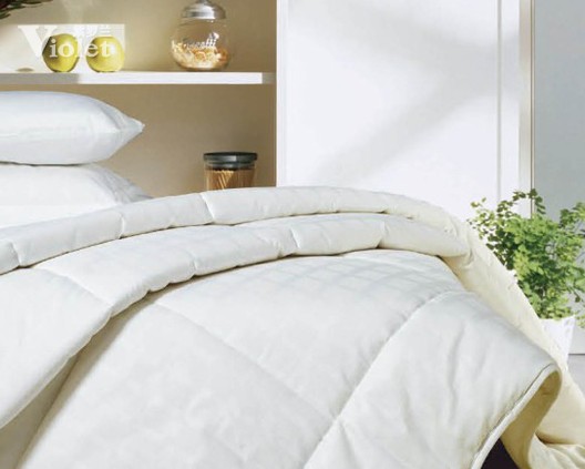 ���_�m�Q�z�� �h��׌���������