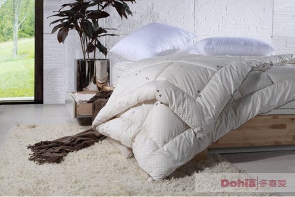 多喜愛家紡隨“芯”而動,創造自由暖生活