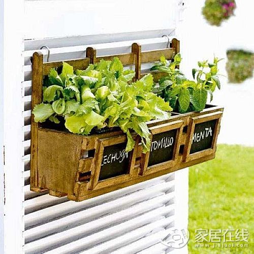 標簽收納法讓你不再做“亂室佳人”