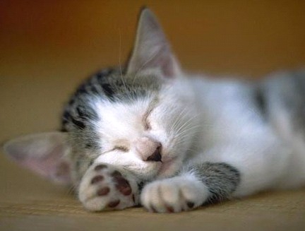 �H�������˯һС�r����