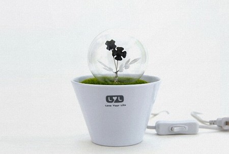 �����c�������Ի���Сҹ��