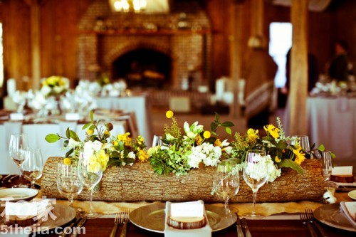 �ؚw��Ȼ��(sh��)ľ���͵��b���(��)