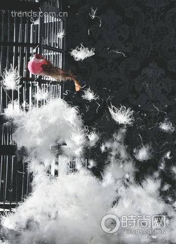 三高體質(zhì)選擇正確羽絨被(一)