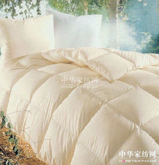 羽絨被 三高體質(zhì)最佳選擇