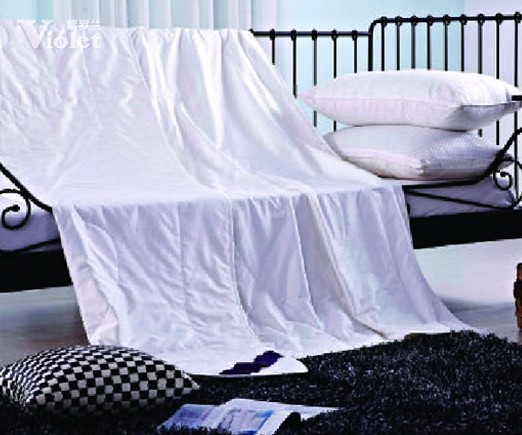 紫羅蘭隔墻送香來