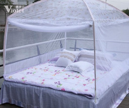 幸福的花季 紫羅蘭制造甜蜜