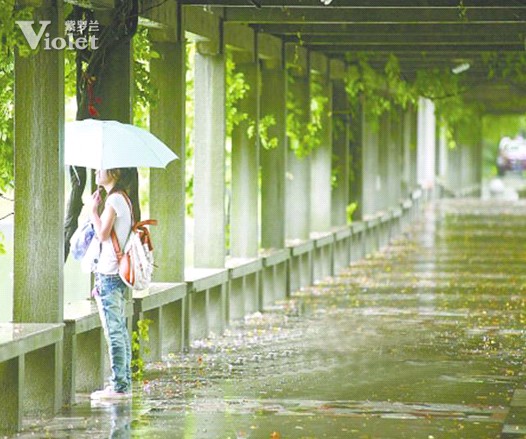 梅雨季節 紫羅蘭用心呵護您的衣食住行