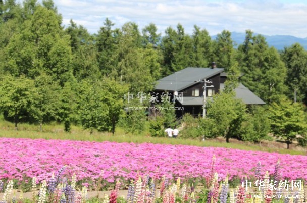 ����Ҽ���푡����ڲ��������ϱ����������(d��ng)������