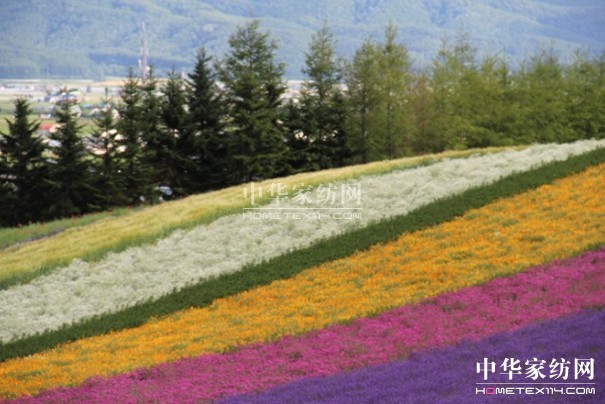 ����Ҽ���푡����ڲ��������ϱ����������(d��ng)������