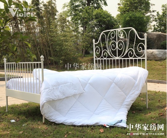 風雨征程紫羅蘭與你相伴永遠