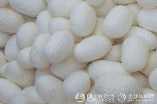 四川蠶桑絲綢產(chǎn)業(yè)發(fā)展規(guī)劃通過專家評審