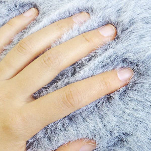 超酷的動物凳子(AnimalStool)