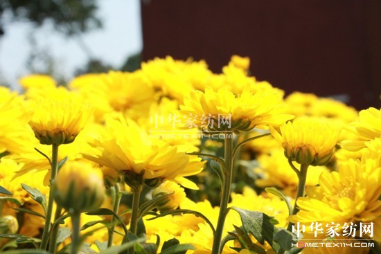 ���z�Ҽ����������B����