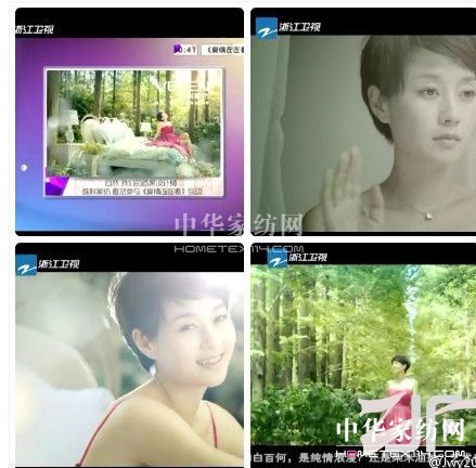 維科高調亮相中針會