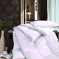 ��ķ˹������q��