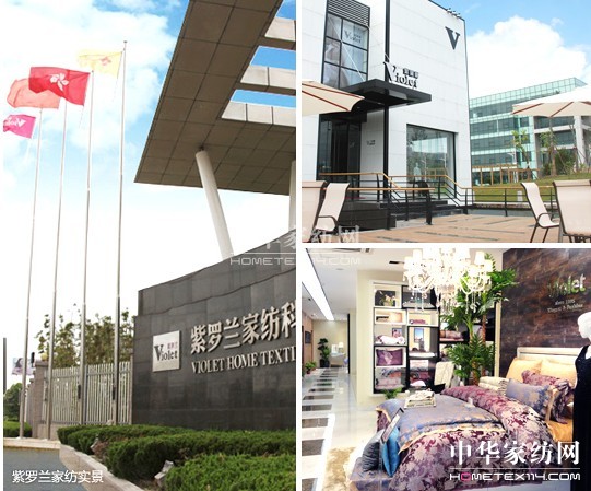 紫羅蘭解析行業(yè)十大營銷策略