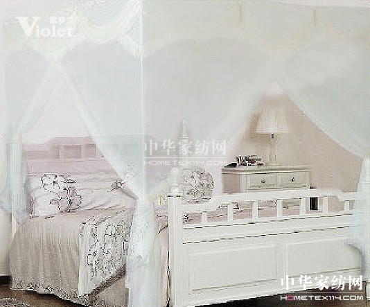 六月靜好光陰 紫羅蘭與你一起走過