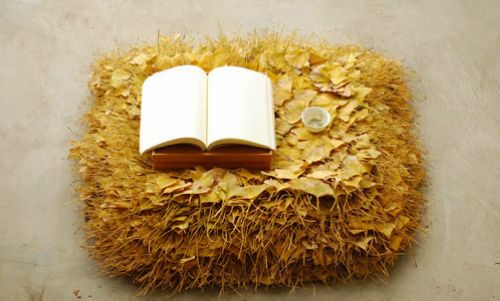 ���������y��ɳ�l(f��)