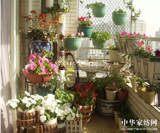 ���_�m���������C����