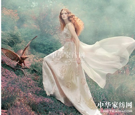 一花一世界那些你不知道的紫羅蘭