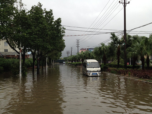 “菲特”臺(tái)風(fēng)登陸蒼南 盛宇抗臺(tái)救災(zāi)搶險(xiǎn)