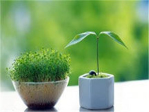 巧置秋季家居 身心不“上火”