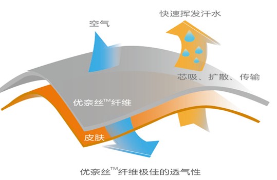 藍品科技家紡:好床品應有面有料