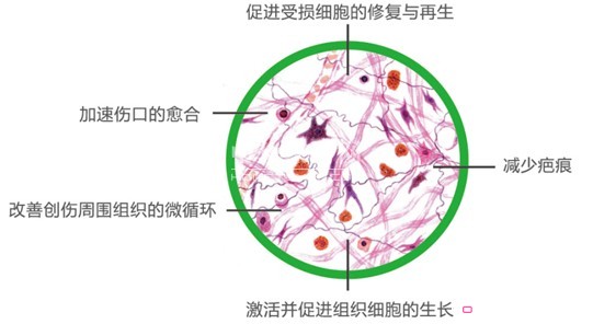 �{(l��n)Ʒ�w�S�Ƽ�������Ʒ�����r(sh��)��