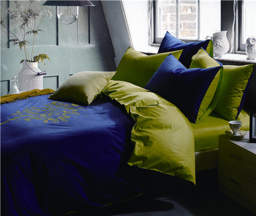 ���Ő�(��i)��ʥ���R