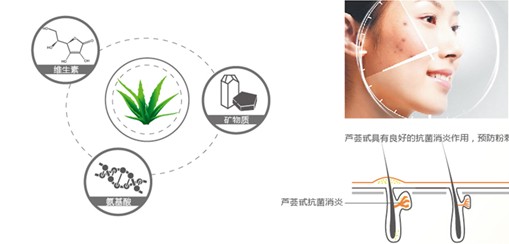 �{Ʒ�Ƽ�������Ȼ���B(y��ng)������