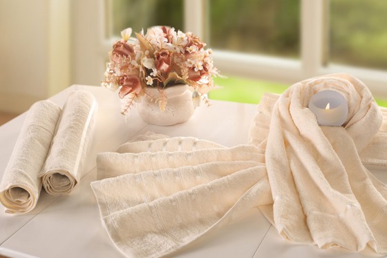 夏津縣召開棉紡織企業(yè)家座談會(huì)