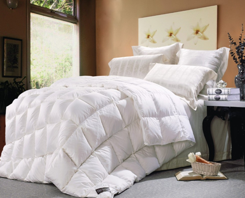 ���ˍu����q���ı��B֪�R