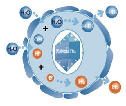 �{(l��n)Ʒ�Ƽ���Ů�ԼҼ������o(h��)����