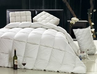 2014年中國(guó)羽絨市場(chǎng)研討會(huì)在貴港召開