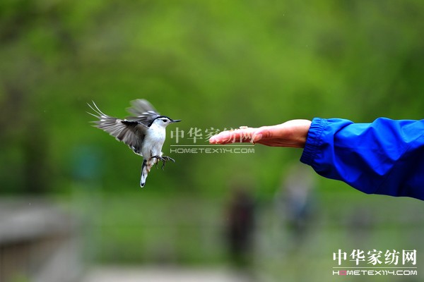 ��ُ��Ϋ@��͵����θ���