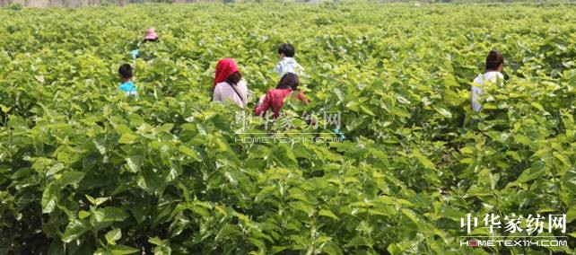 ���ýz�I�׌�ɣ�ز�ժ��(ji��)�����ء���ϲ��