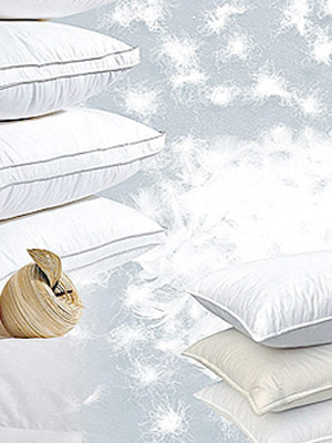 �ﶬ���c��q�Ҽ��Ĵ�Ʒ��