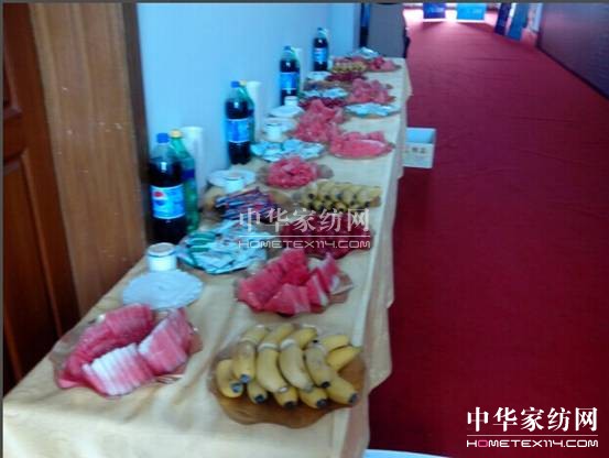 伊人島:籌劃今朝成就未來