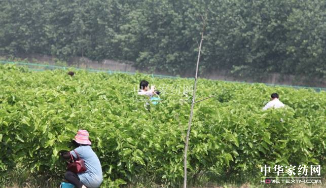 ���ýz�I��ɣ�ز�ժ���A�M��Ļ