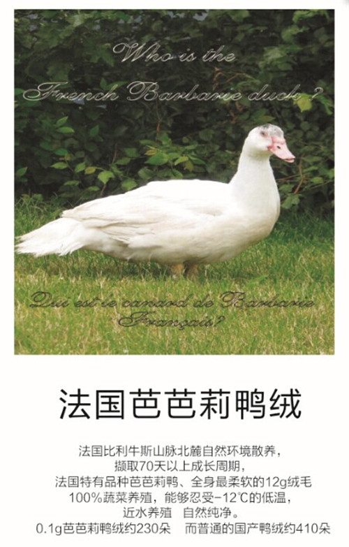 品質58周年夢潔家紡與全球愛家人一同夢想