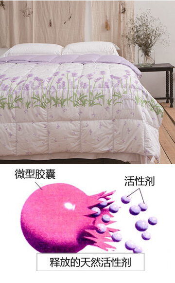 ���R���Ҽ��_�l���߿Ƽ���q��