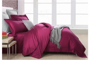 �Ҽ�ץס���^����׌��͎���