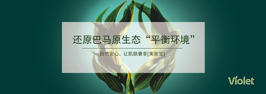 紫羅蘭家紡:唐頓莊園,領略英國貴族的繁華盛景