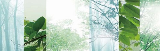 ���_�m���C�Ҽ���߀ԭ���Rԭ���Bƽ��h��