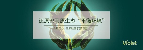 紫羅蘭生機(jī)家紡:首創(chuàng)益生菌生物抗菌技術(shù)