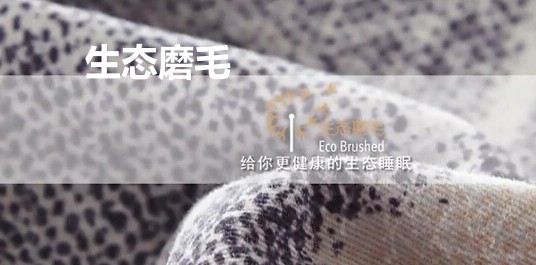 ���_�m���B(t��i)ĥë��Ʒ��׌˯�߻ؚw�������|