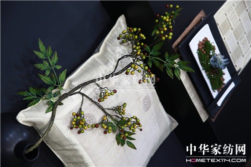 重整旗鼓煥新顏 春寒料峭再出發